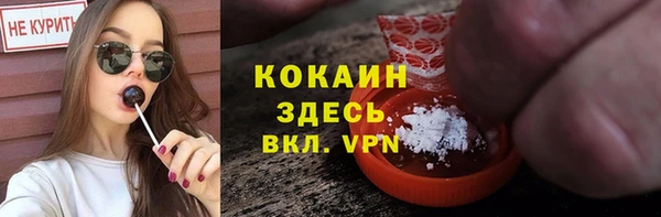 прущая мука Пересвет