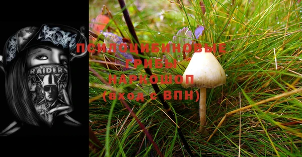 прущая мука Пересвет