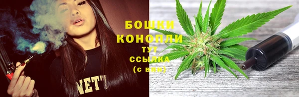 прущая мука Пересвет
