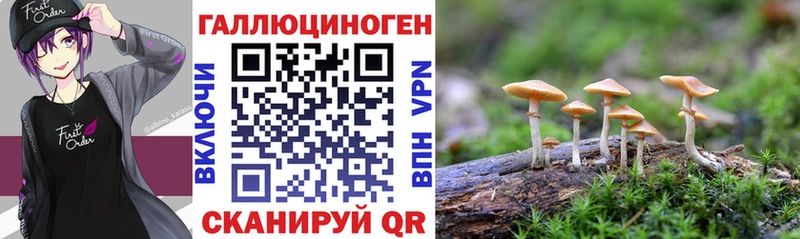 Галлюциногенные грибы GOLDEN TEACHER  даркнет формула  Абаза  MEGA сайт 